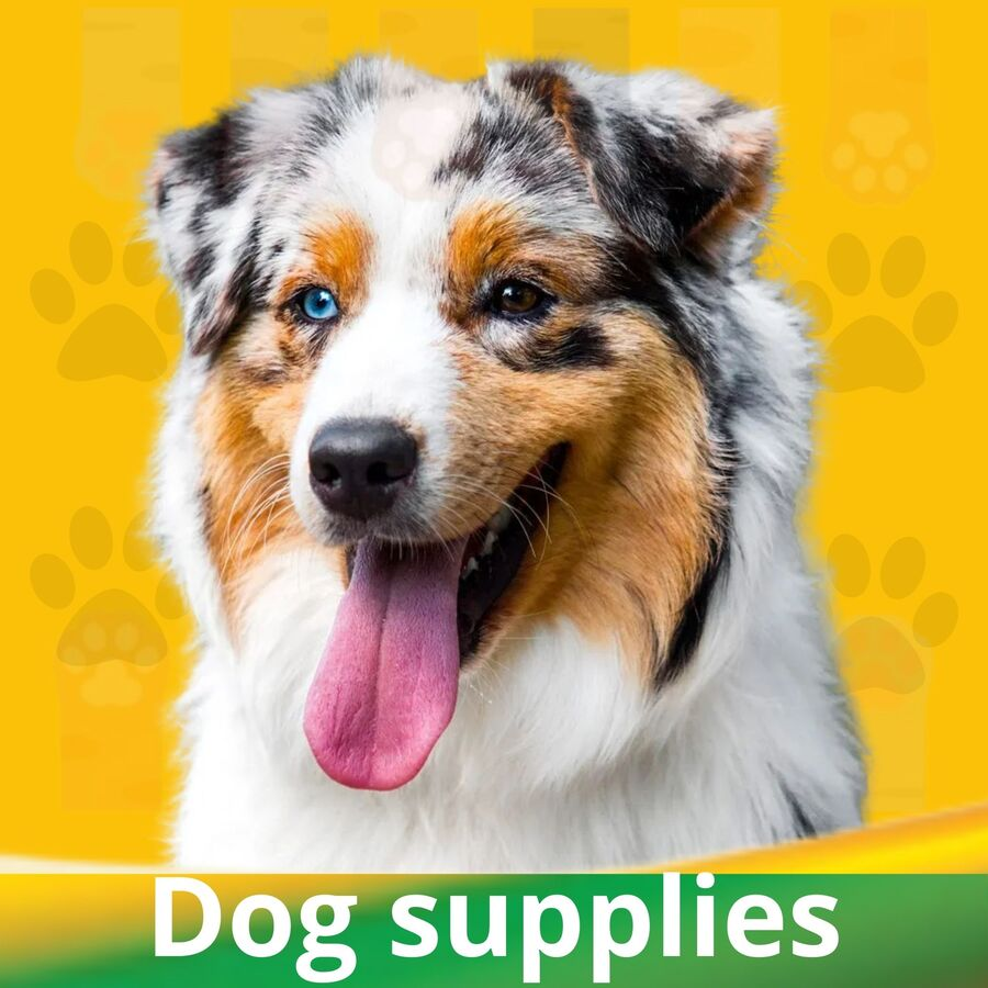 Dog products Nimitry