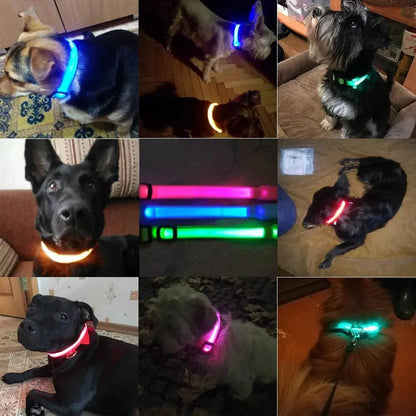 Led Dog Collar Anti-Lost Nimitry