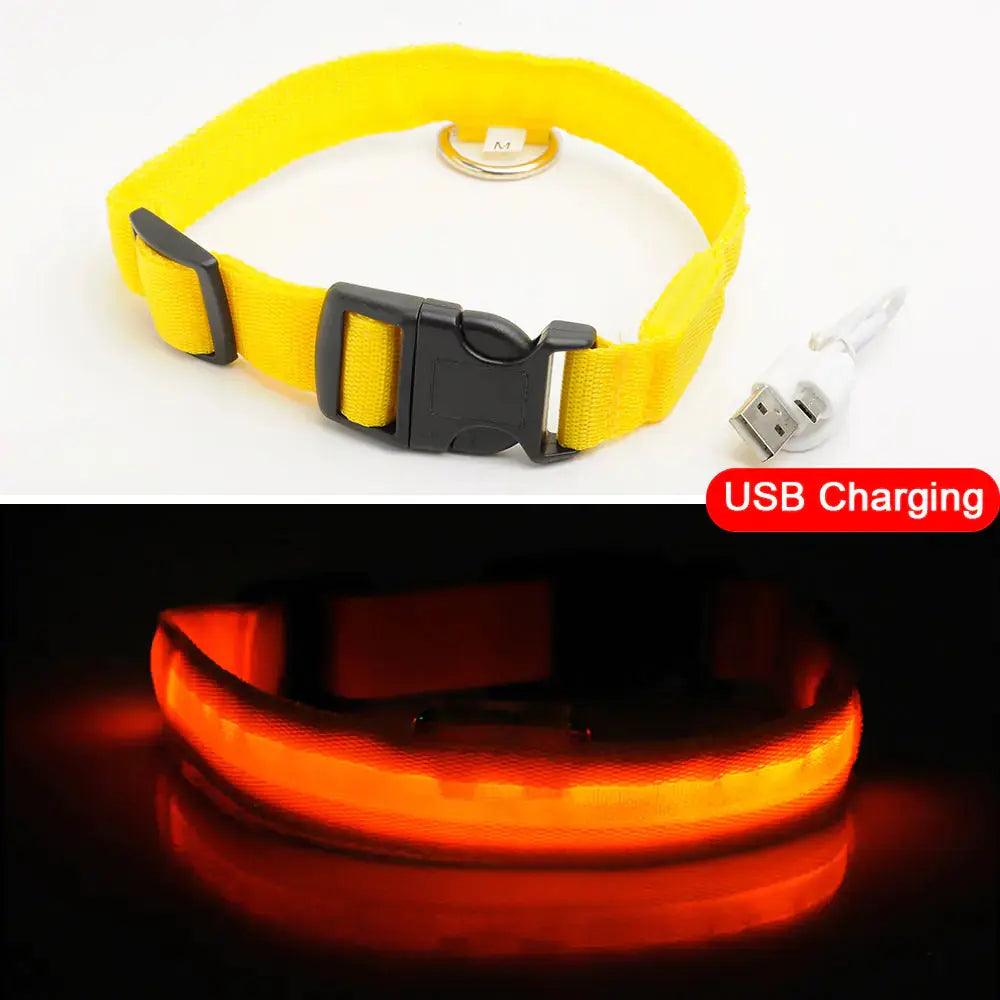 Led Dog Collar Anti-Lost Nimitry