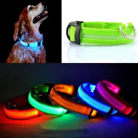 Led Dog Collar Anti-Lost Nimitry