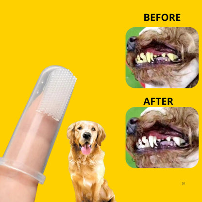 Pet Finger Toothbrush - Nimitry