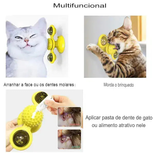 Spinner Cat Toy Fun - Nimitry