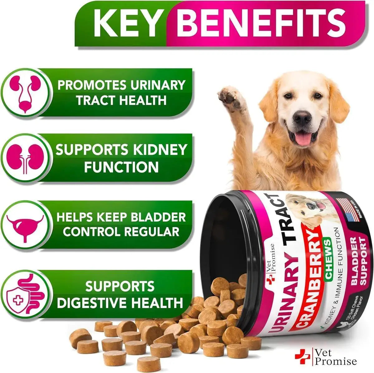 Urinary Tract Infection Control for Dogs - Nimitry