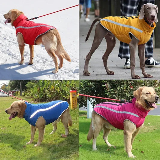 Waterproof dog apparel  Large - Nimitry